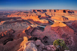 Sonnenaufgang am Dead Horse Point mit Blick auf Fluss Colorado River, Canyonlands Nationalpark, Moab, Utah, Südwesten, USA, Amerika