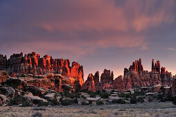 Felstürme im Chesler Park am Morgen, Needles Area, Canyonlands Nationalpark, Moab, Utah, Südwesten, USA, Amerika