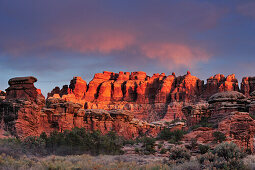 Rock spires in Chesler Park in the morning, Needles Area, Canyonlands National Park, Moab, Utah, Southwest, USA, America