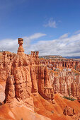 Rock spire Thor´s Hammer in Bryce Canyon, Bryce Canyon National Park, Utah, Southwest, USA, America