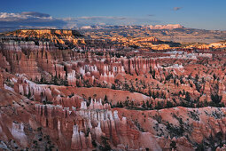 Rock spires in Bryce Canyon, Bryce Canyon National Park, Utah, Southwest, USA, America