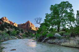 Virgin River und The Watchman, Zion Nationalpark, Utah, Südwesten, USA, Amerika