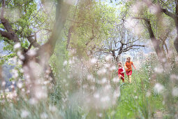 Girls running over flower meadow, Esporles, Majorca, Balearic Islands, Spain