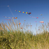 Multicoloured decorated kites flying on the breeze at a kite festival in Long Beach, Washington, USA., Colorful kites flying at beach