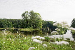 Langbuergner See near Eggstaett, Bavaria, Germany