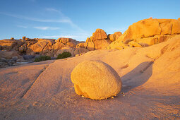 Jumbo Rocks im Joshua Tree National Park bei Sonnenaufgang, Mojave Wüste, Kalifornien, USA, Amerika