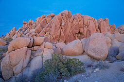 Jumbo Rocks at Joshua Tree National Park in the evening, Mojave Desert, California, USA, America