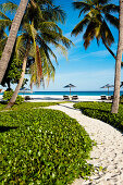 Palm trees and sunshades on the beach at Park Hyatt Maldives Hadahaa, Gaafu Alifu Atoll, North Huvadhoo Atoll, Maldives
