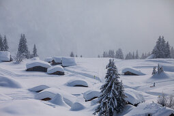 Tief verschneite Sonnenberg Alp, Alphütten vom Schnee bedeckt, Skigebiet Mürren-Schilthorn, Mürren, Lauterbrunnental, Jungfrauregion, Berner Oberland, Kanton Bern, Schweiz, Europa