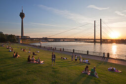 Menschen auf einer Wiese an der Rheinuferpromenade bei Sonnenuntergang, Blick auf Rheinturm und Rheinkniebrücke, Düsseldorf, Nordrhein-Westfalen, Deutschland, Europa