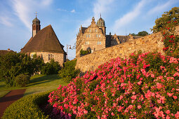 Blühende Rosen in der Aussenanlage von Schloss Hämelschenburg, Schlosskirche St. Marien, Emmerthal, Weserbergland, Niedersachsen, Deutschland, Europa
