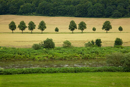 Blick über die Weser in idyllischer Landschaft, Weserbergland, Niedersachsen, Deutschland, Europa