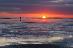 Sunset at Wadden Sea, Island of Juist, East Frisia, Lower Saxony, Germany, Europe