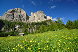 Blumenwiesen und Almstadel vor Sellastock, Sella, Dolomiten, UNESCO Weltnaturerbe Dolomiten, Südtirol, Italien