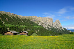 Flowering meadow and hay barn in front of Schlern and Rosszaehne, Seiseralm, Dolomites, UNESCO world heritage site Dolomites, South Tyrol, Italy