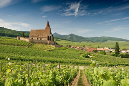 Kirche St Jacques, Stadtansicht und Weinberge, Hunawihr, Elsass, Frankreich