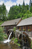 Blick auf die Hexenlochmühle, Neukirch, Schwarzwald, Baden-Württemberg, Deutschland, Europa