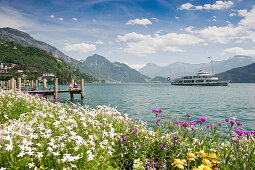 Jetty in Weggis at lake Lucerne, canton Lucerne, Switzerland, Europe