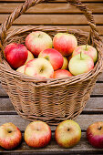 Apples in a basket, harvest, Bavaria, Germany