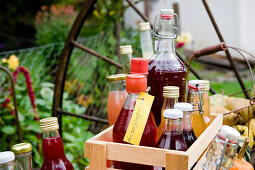Bottles of juice, sirup and liqueurs, homemade, Garden