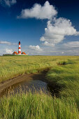 Leuchtturm Westerheversand und Salzwiesen, Westerhever, Halbinsel Eiderstedt, Nationalpark Schleswig-Holsteinisches Wattenmeer, Nordfriesland, Schleswig-Holstein, Deutschland, Europa