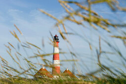 Leuchtturm Westerheversand und Salzwiesen, Westerhever, Halbinsel Eiderstedt, Nationalpark Schleswig-Holsteinisches Wattenmeer, Nordfriesland, Schleswig-Holstein, Deutschland, Europa