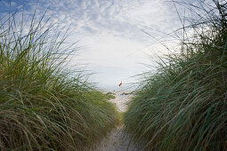 Beach and German flag, sandbank, near Nebel, Amrum, North Frisian Islands, Schleswig-Holstein, Germany