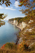 Chalk cliffs in autumn, Kieler Ufer, Jasmund National Park, Baltic coast, Ruegen island, Mecklenburg Western Pomerania, Germany, Europe