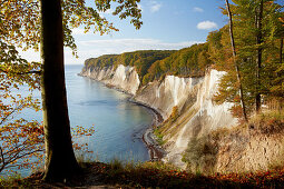 Chalk cliffs in autumn, Kieler Ufer, Jasmund National Park, Baltic coast, Ruegen island, Mecklenburg Western Pomerania, Germany, Europe