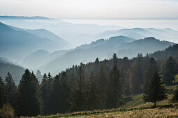 View from Schauinsland mountain onto the Muenstertal valley, near Freiburg im Breisgau, Black Forest, Baden-Wuerttemberg, Germany, Europe