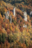Steinformation, Blick vom Knopfmacherfels, Donau im Herbst, Naturpark Oberes Donautal bei Beuron, Landkreis Sigmaringen, Schwäbische Alb, Baden-Württemberg, Deutschland