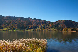 View over lake Schliersee, Upper Bavaria, Germany, Europe