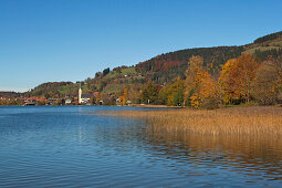 Schliersee in autumn, Upper Bavaria, Germany, Europe