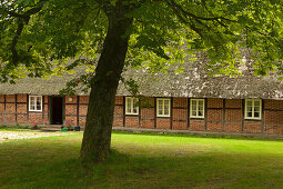 Farm house at Heather Museum, Wilsede, Lueneburg Heath, Lower Saxony, Germany, Europe