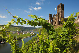 Burg Metternich oberhalb von Beilstein, Mosel, Rheinland-Pfalz, Deutschland