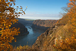 View from Rheinsteig hiking trail over the Spitznack rock to the Loreley, near St Goarshausen, Rhine river, Rhineland-Palatinate, Germany