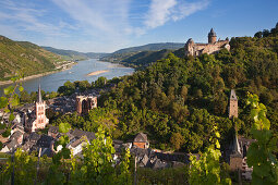 View from the vineyards to Bacharach with Stahleck castle, Rhine river, Rhineland-Palatinate, Germany