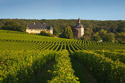 Schloss Vollrads, Rhein, Rheingau, Hessen, Deutschland