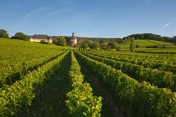 Schloss Vollrads, Rhein, Rheingau, Hessen, Deutschland