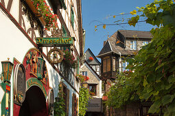 Drosselhof in der Drosselgasse, Rüdesheim, Rhein, Rheingau, Hessen, Deutschland