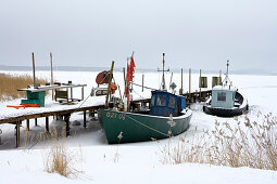 Boats in Gross Zicker, Moenchgut, Isle of Ruegen Mecklenburg-Western Pomerania, Germany Europe