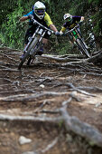 Zwei Freeride Mountainbiker fahren über Wurzeln in einem Wald, Chatel, Haute-Savoie, Frankreich