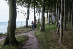 Women cycling through Gespensterwald (ghost forest), Hoellenliet, Wittow Peninsula, Island of Ruegen, Mecklenburg-Western Pomerania, Germany