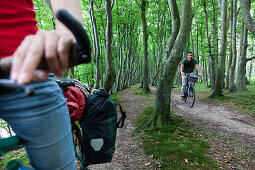Women and man cycling on a path above the sea through the forest, so called ghost forest, Baltic Sea, Hoellenliet, Wittow Peninsula, Island of Ruegen, Mecklenburg West-Pomerania, Germany