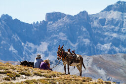 Eselswanderung im Queyras, Hautes-Alpes, Provence-Alpes-Côte d'Azur, Frankreich