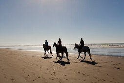 Reiter zu Pferde am Sandstrand, Reitsport, gemeinsames Ausreiten morgens am Strand, Ostküste bei Christchurch, Südinsel, Neuseeland