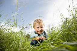 Boy (3 years) crouching on grass, Vienna, Austria
