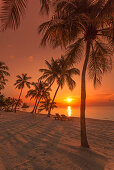 Strand bei Sonnenaufgang im The Moorings Village Resort, Islamorada, Florida Keys, Florida, USA