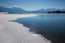 Lake Forggensee with view to the Allgaeu Alps with Saeuling and Tannheimer Berge, Allgaeu, Bavaria, Germany