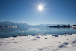 Lake Forggensee with view to the Allgaeu Alps with Tegelberg, Saeuling and Tannheimer Berge, Allgaeu, Bavaria, Germany